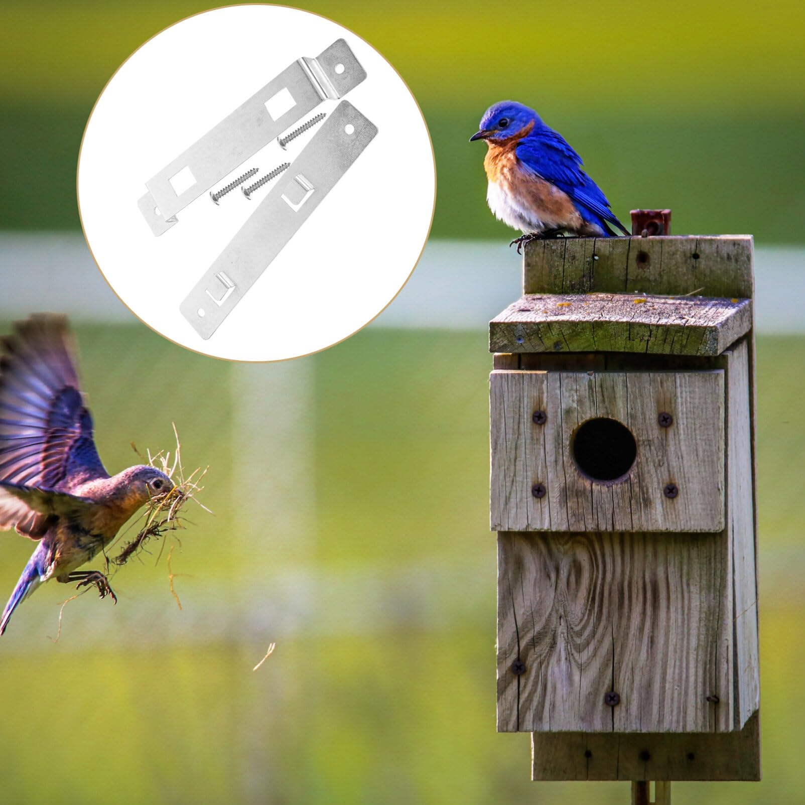 Staffa Per Casetta Uccelli - Set Di Montaggio Con Viti Per Mangiatoie E Nidi - Foto 8