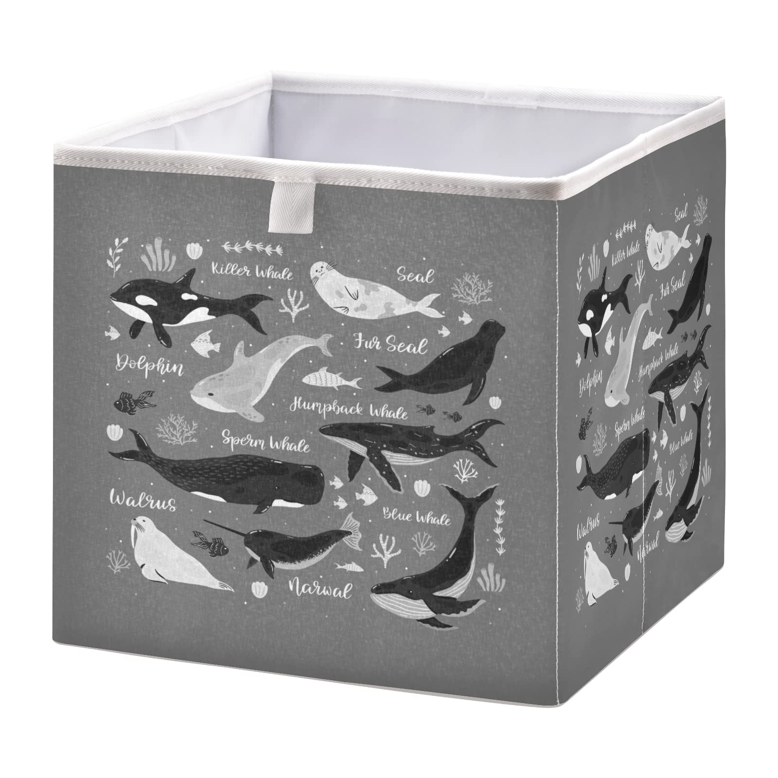 Poeticcity Marine Dolphin Killer Whale Narwhal Walrus Ocean Undersea Water Square Storage Basket Bin, Collapsible Storage Box, Foldable Nursery Baskets Organizer for Toy, Clothes Easy to Assemble