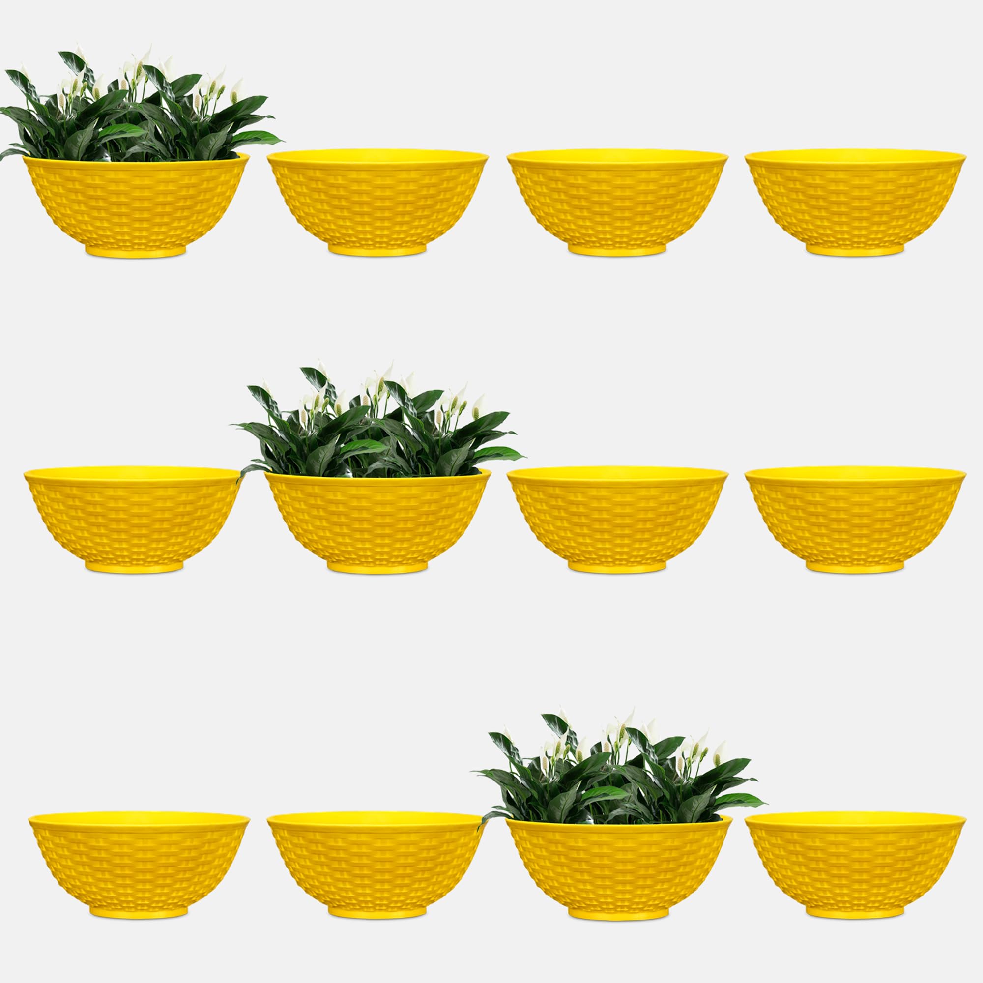 YUCCABE ITALIA SHERA Chick KTR 10 INCH Pack of 12 Pcs Plastic Flower Pot Unbreakable Round Shape Bowl Planter Suitable for Home Garden Seedling Indoor (Yellow) (B09XB3CG41) Amazon Price History, Amazon Price Tracker
