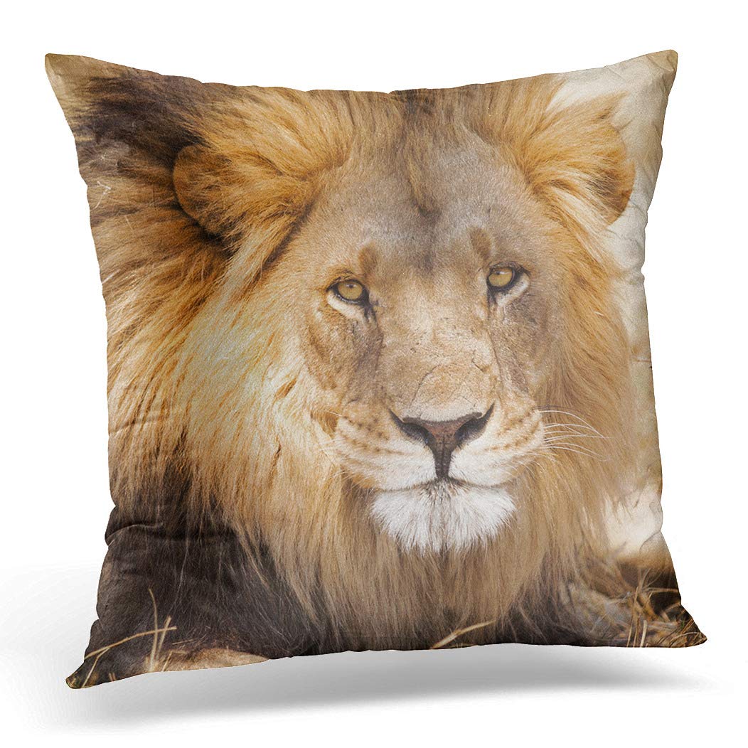 Awowee Cushion Cover 50x50cm/20x20inches African Lion Portrait Animals Safari Africa Beautiful Big Black Home Decor Throw Pillow Cover Square Pillowcase for Bed Sofa