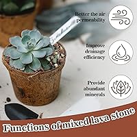 Vista 4 de Sukh Suelo de gránulos para suculentas hortícolas de 1 libra, mezcla de bonsái, rocas de lava, cactus y suelo, enmienda de mezcla para macetas
