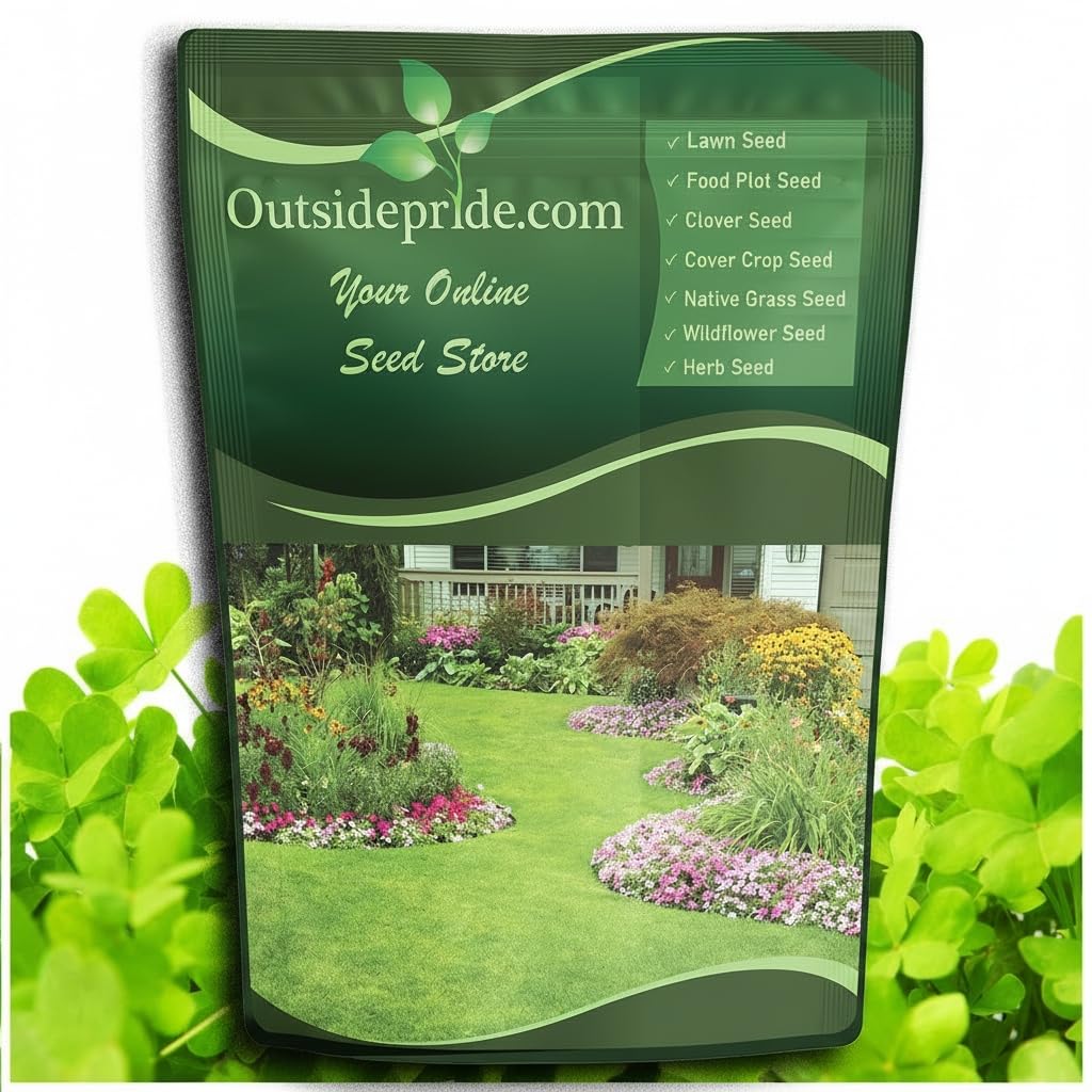 Outsidepride Perennial Clover King Seed Mix
