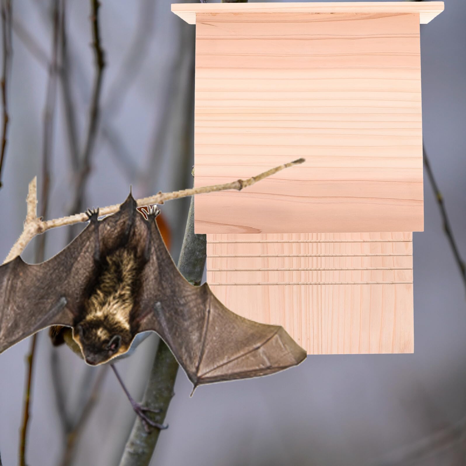 Veemoon Casetta per Pipistrelli da Esterno in Legno Massello, Rifugio Naturale per Pipistrelli da Giardino, Bat Box Fatta a Mano per Cortile e Habitat Fauna Selvatica