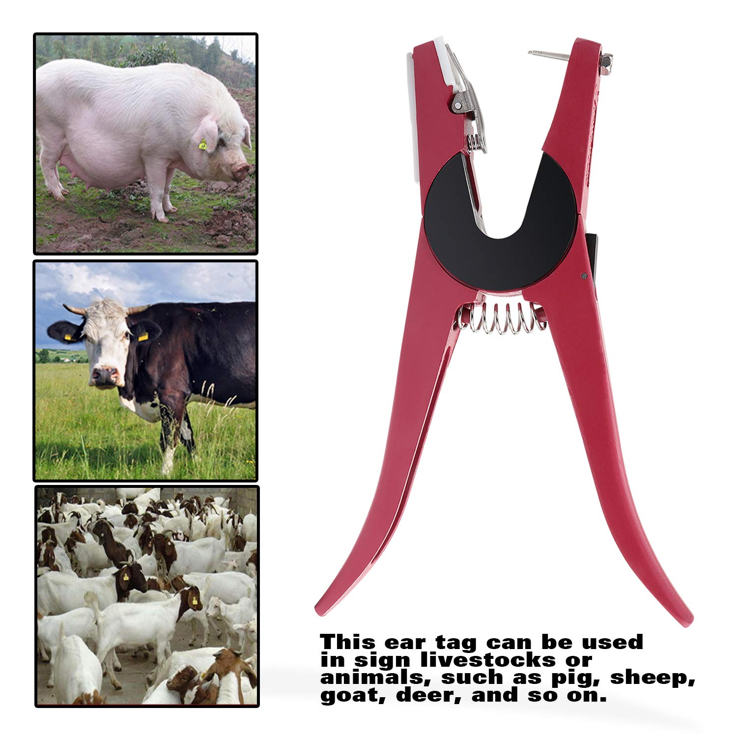 Pinze per Etichette per Animali Bestiame Animale Marchio Auricolare Pinza Applicatore per l'Installazione di Suini Bovini Pecore Orecchio Marchio Auricolare (Rosso)