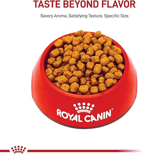 Miniatura 8 de Royal Canin Breed Health Nutrition Shih Tzu - Alimento seco para perros para adultos