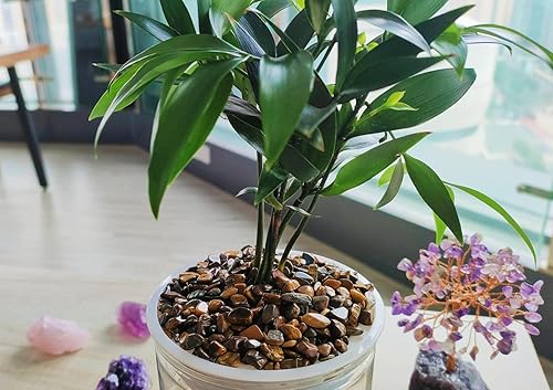 Miniatura 3 de ZHIYUXI Relleno de jarrón de cristal de ojo de tigre, chips de cristal, piedra para decoración, plantas suculentas, jarrón, pecera, grava, cristales