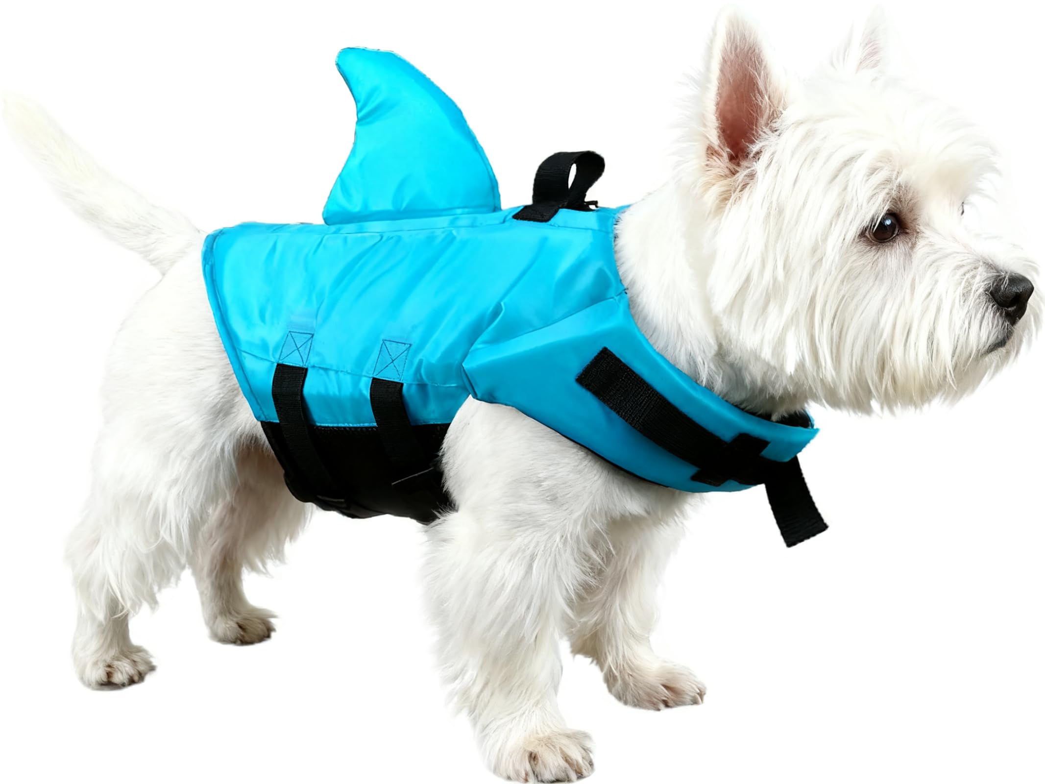 GabeFish Shark Gilet de sauvetage pour chien Bleu orange, M (Weight: 17-48lb/8-22kg), bleu