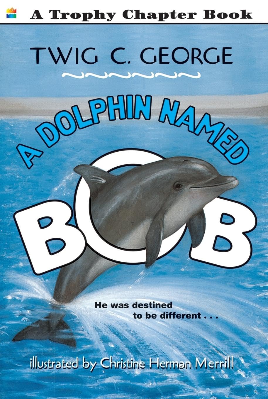A Dolphin Named Bob (Trophy Chapter Books (Paperback))