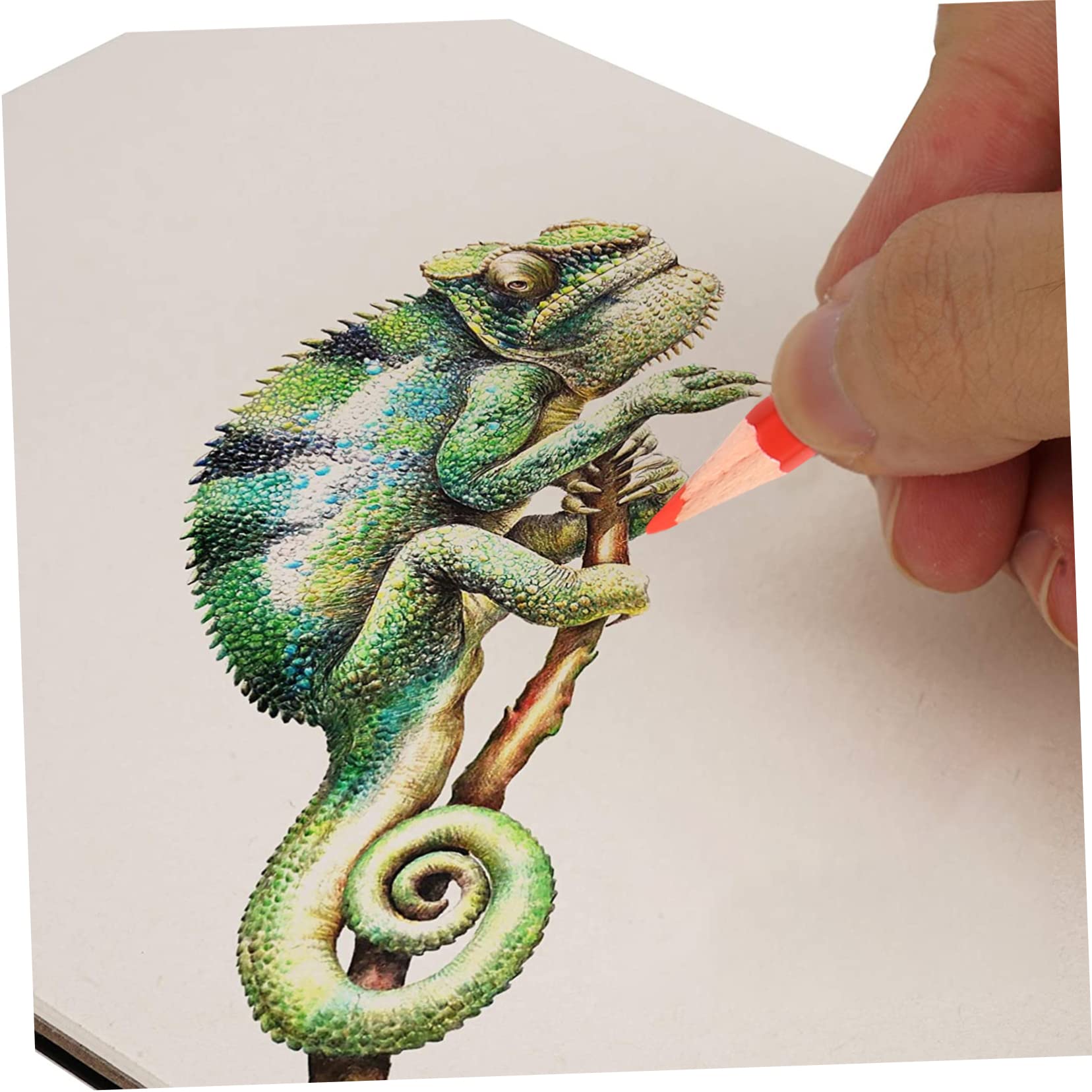COHEALI Matite Per Schizzi Matite Da Disegno Materiale Artistico Per Dipingere e Colorare Presa Comoda e Facile Da Usare Per Disegni