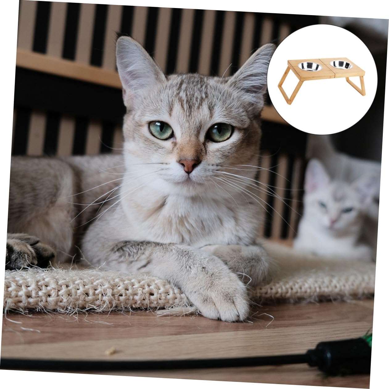 BESPORTBLE 1pieza Soporte De Doble Cuenco De Acero Inoxidable para Mascotas Comedero para Perros y Gatos para Alimentación De Comida y Agua