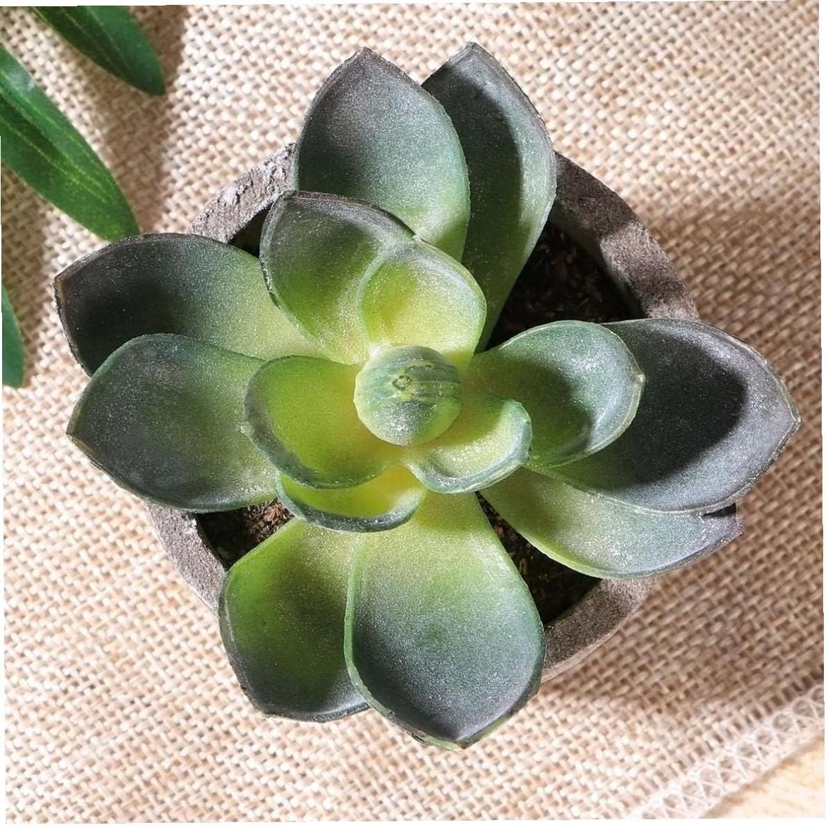 Artificial Plants Potteds, 3 Pcs Plants for Home Office Table Decorations