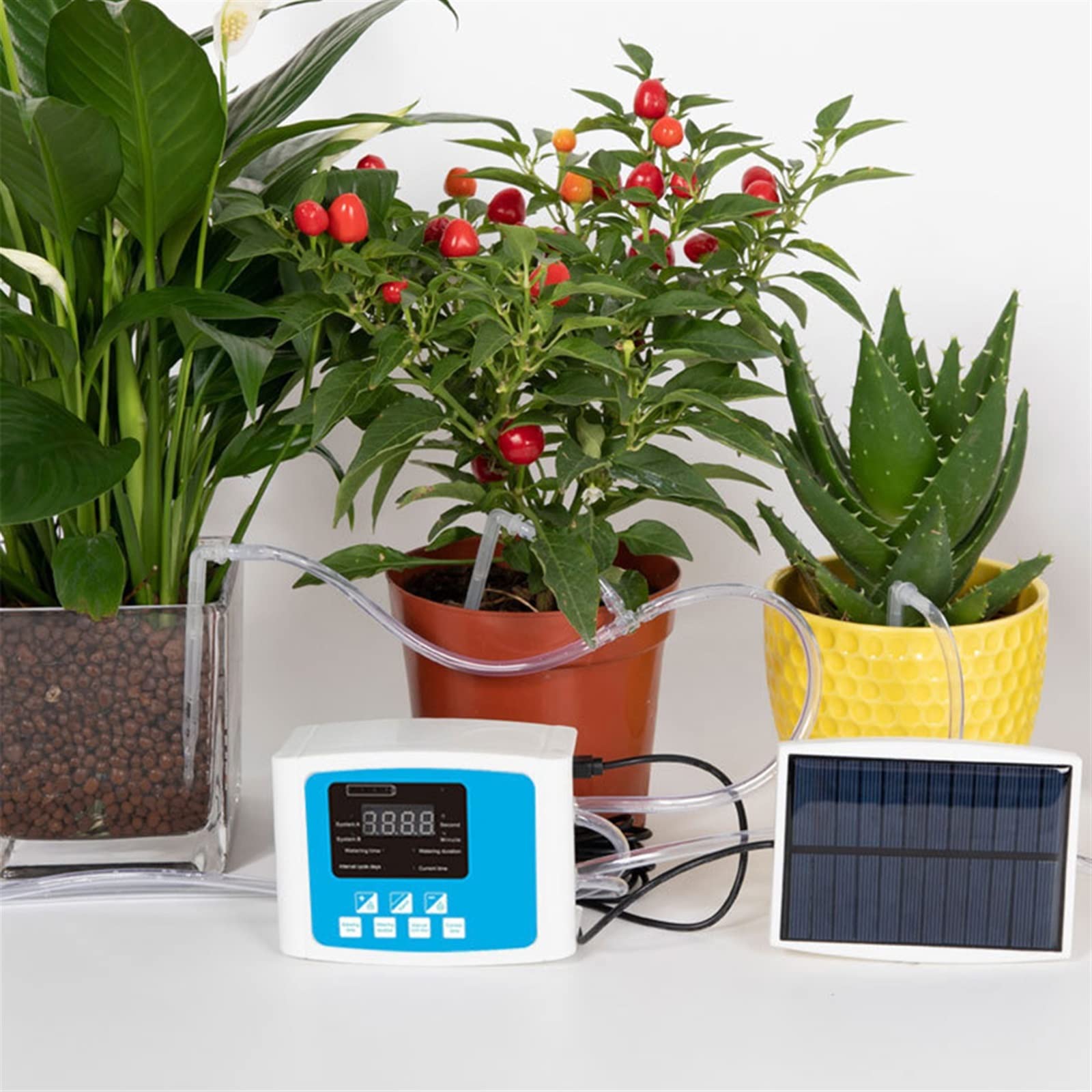 Kit di irrigazione a goccia automatica Dispositivo di irrigazione a goccia di giardino Doppio Timer Controller Pompa Timer Dispositivo di irrigazione automatica for impianti for impianti for impianti