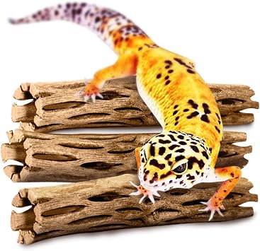 SunGrow Leopard Gecko Cholla Wood, 5 Inches Long, Create Basking Spot, Artistic Home-Decor, Lizards and Bearded Dragons, 3-Pack