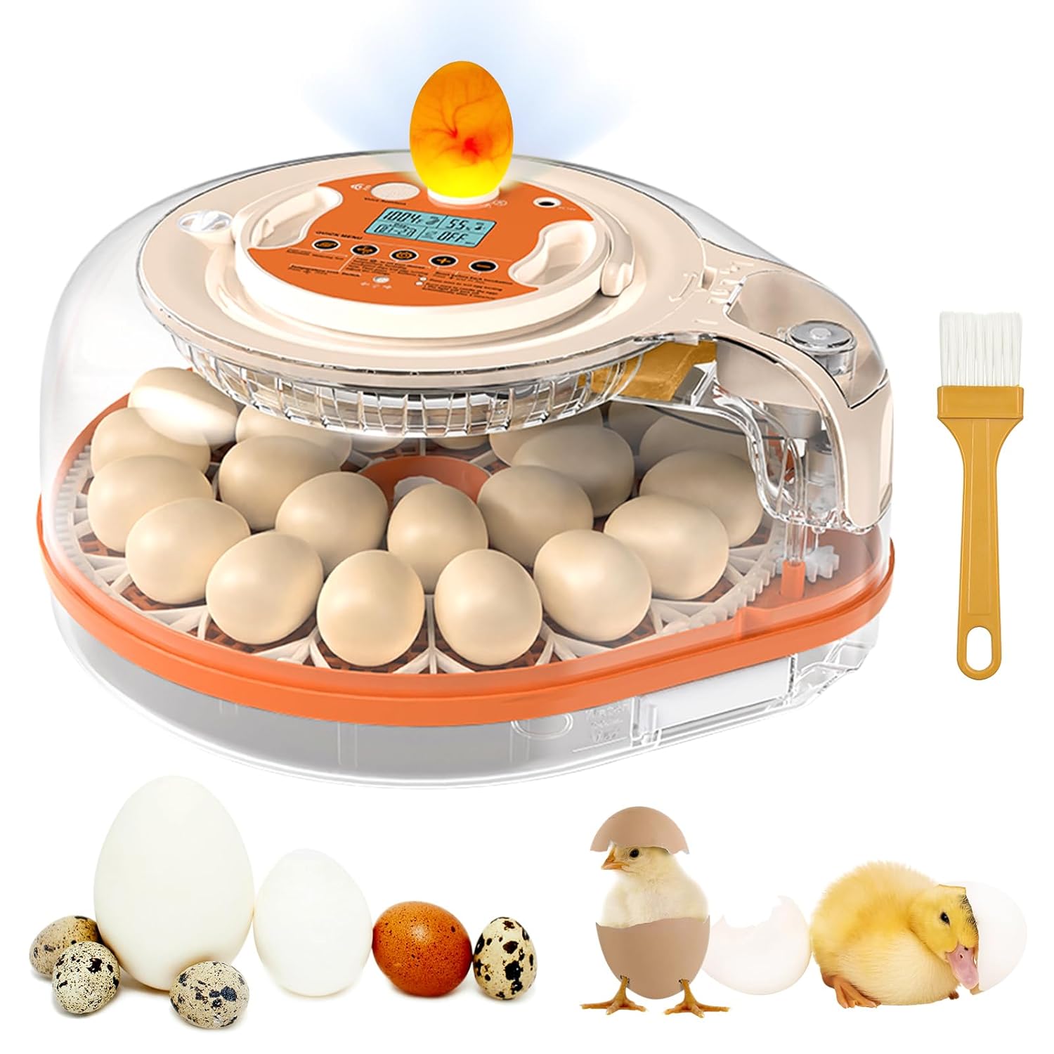 Incubators for Hatching Eggs, FAMEWARE 26 Egg Incubator with Voice Control, Auto Turning, Auto Humidity, °F/°C Switch & Egg Candler, Fits Chicken Bird Eggs - Orange
