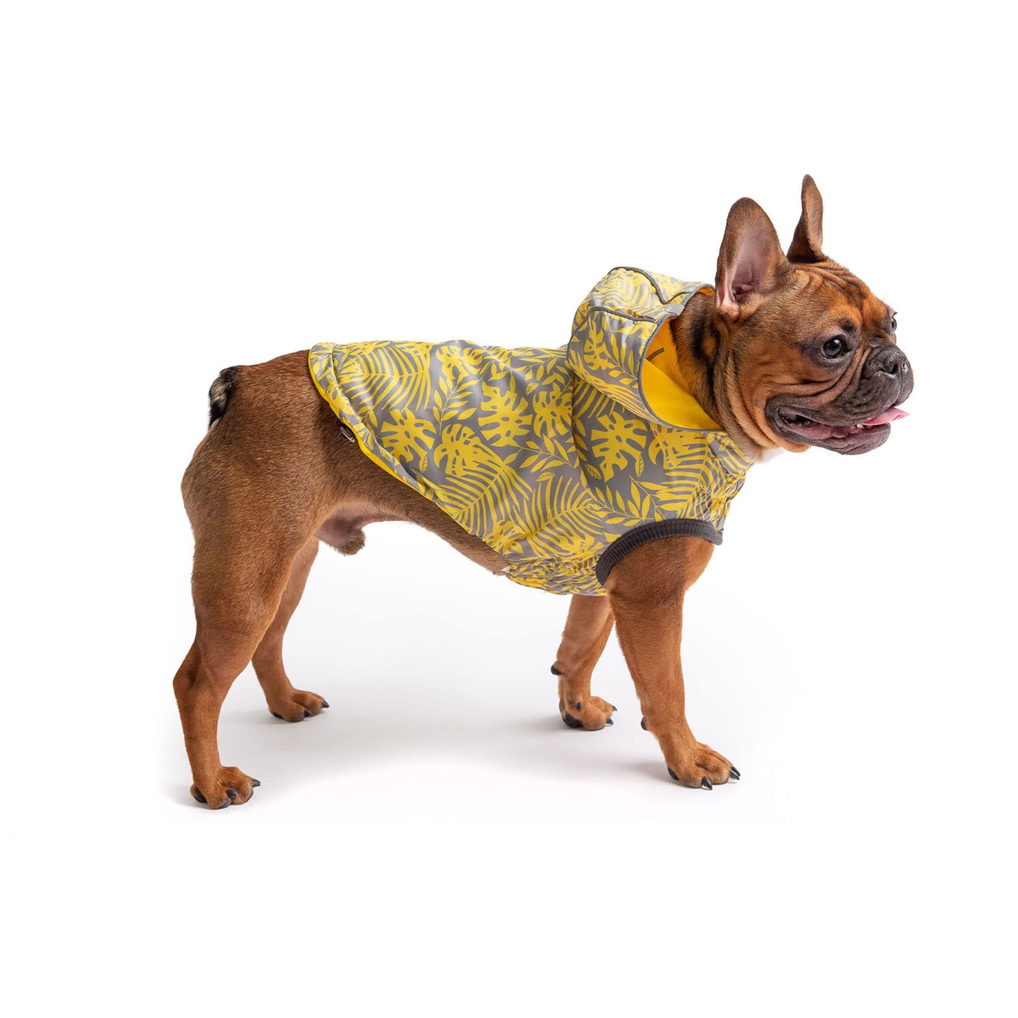 GF Pet Yellow Reversible Elasto-Fit Dog 