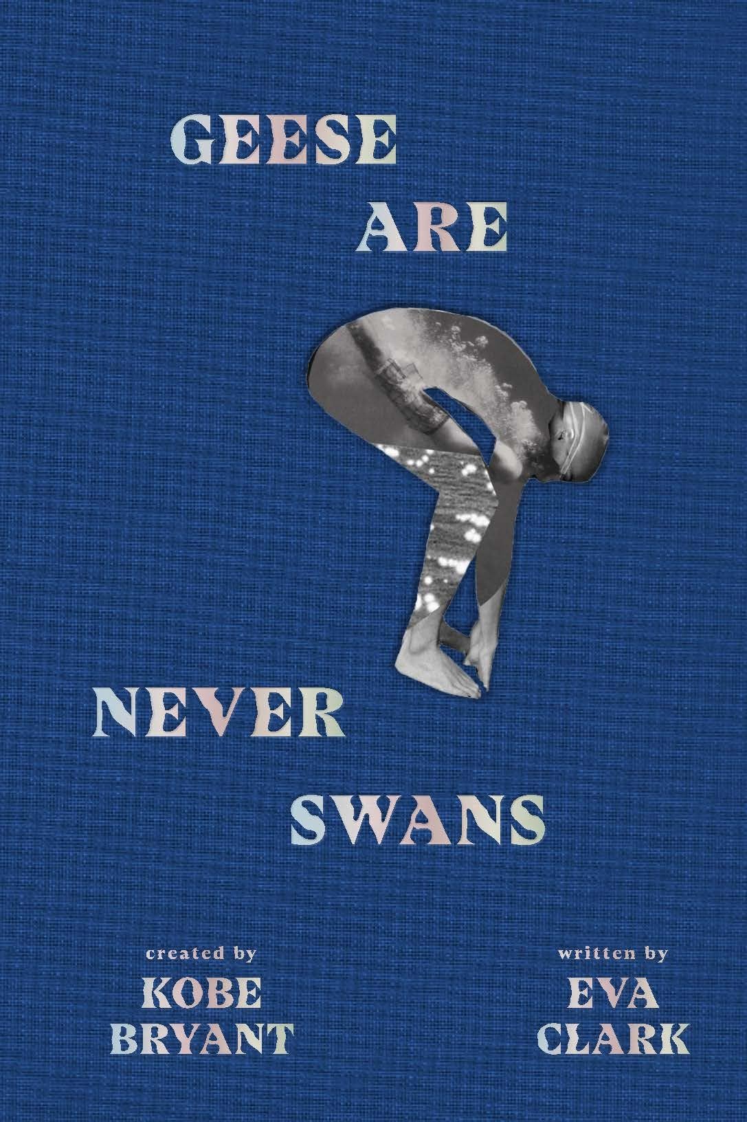 Geese Are Never Swans 9781949520057 Clark, Eva, Bryant