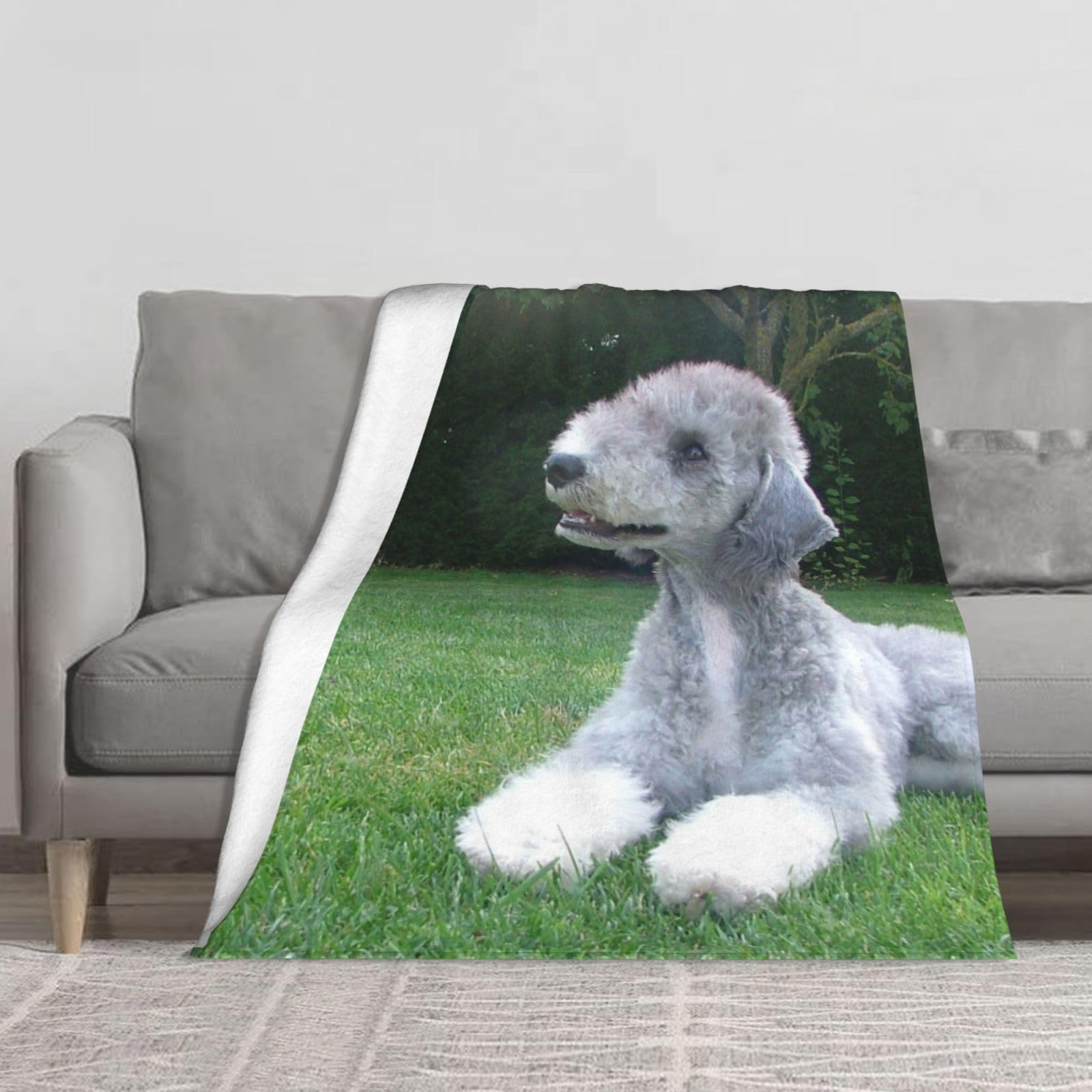 YOFIEN Bedlington Terrier Funny Dogs Furry Dogs Pets，60"x50" Comfy Cozy Super Soft Thick Flannel Throw Couch Blanket