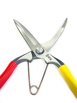 飛庄 片手刈込鋏 （両刃） 270mm 金止 PS-34 軽量鋏 根切鋏 剪定鋏 Amazon | 飛塚製鋏所 飛庄 根切鋏(片手刈込鋏) 金止 270mm