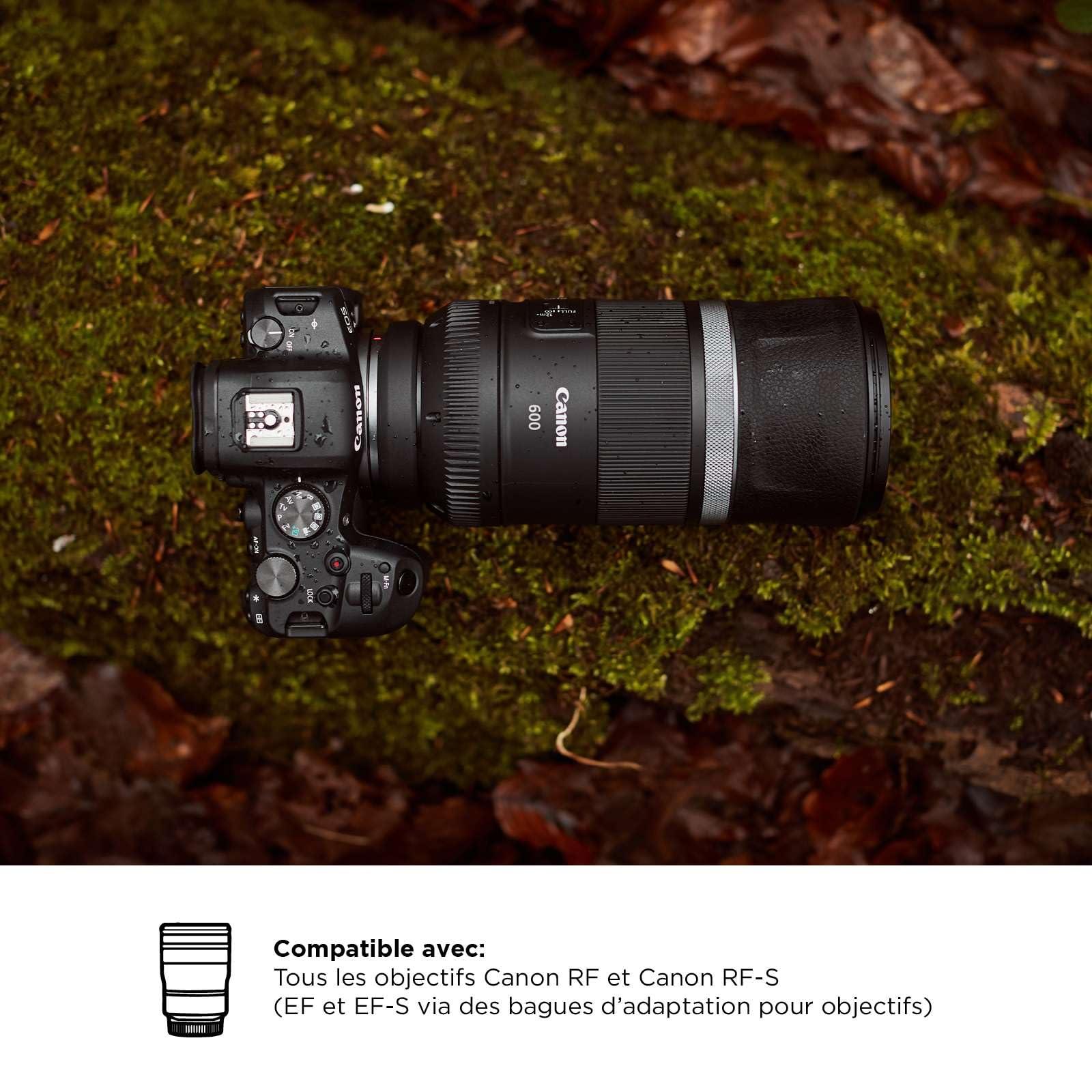 Canon EOS R6 Appareil Photo Hybride Plein Format 20 Mpixels + objectif Canon RF 24-105mm F4-7.1 IS STM noir