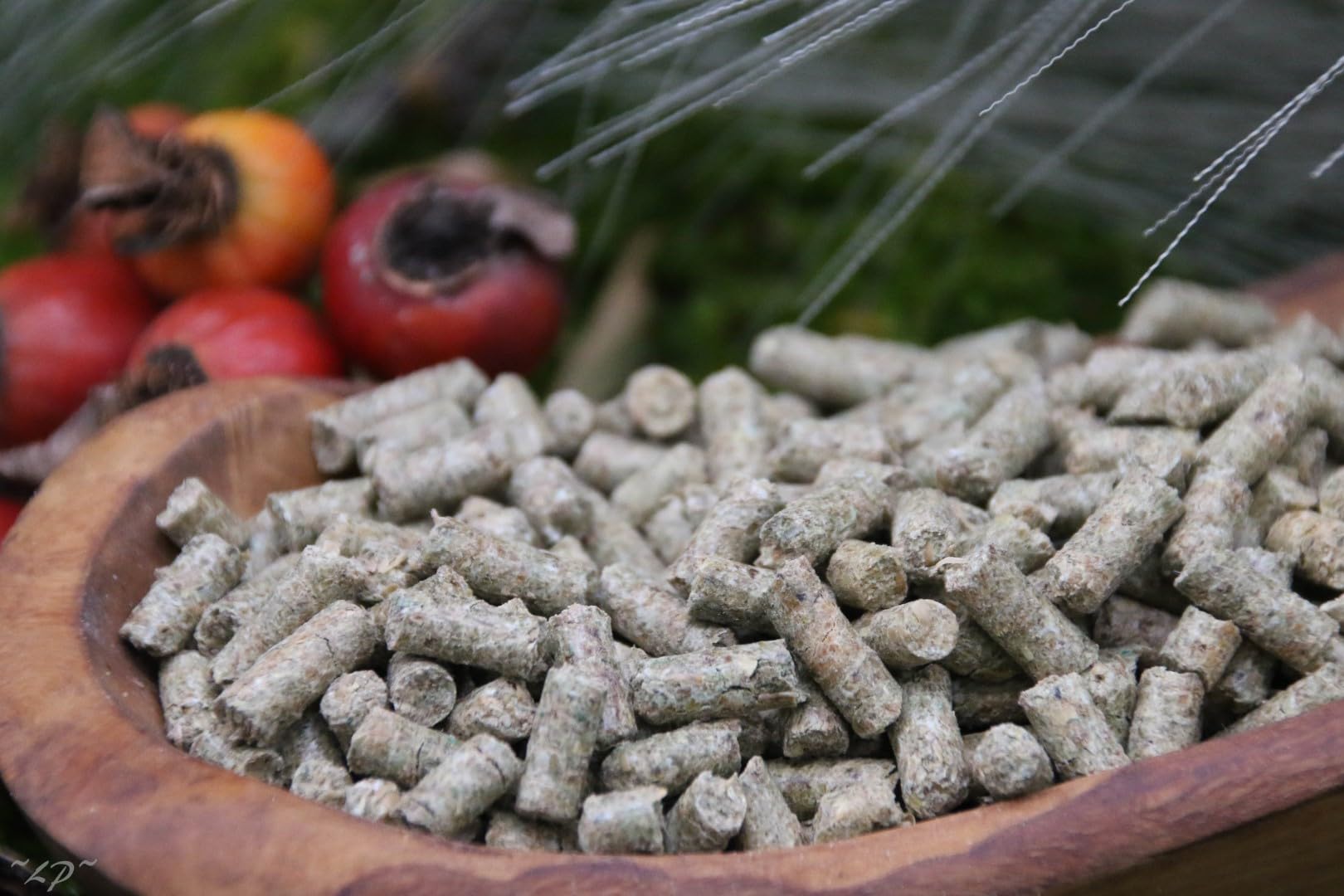 Anhaltiner Alpakafutter 25 kg Ergänzungsfutter für Alpakas