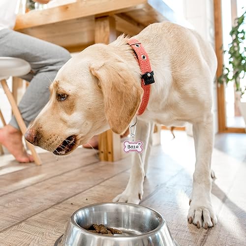 Miniatura 3 de Etiquetas de identificación personalizadas grabadas para mascotas, grabadas personalizadas, fáciles de leer, etiquetas de identificación