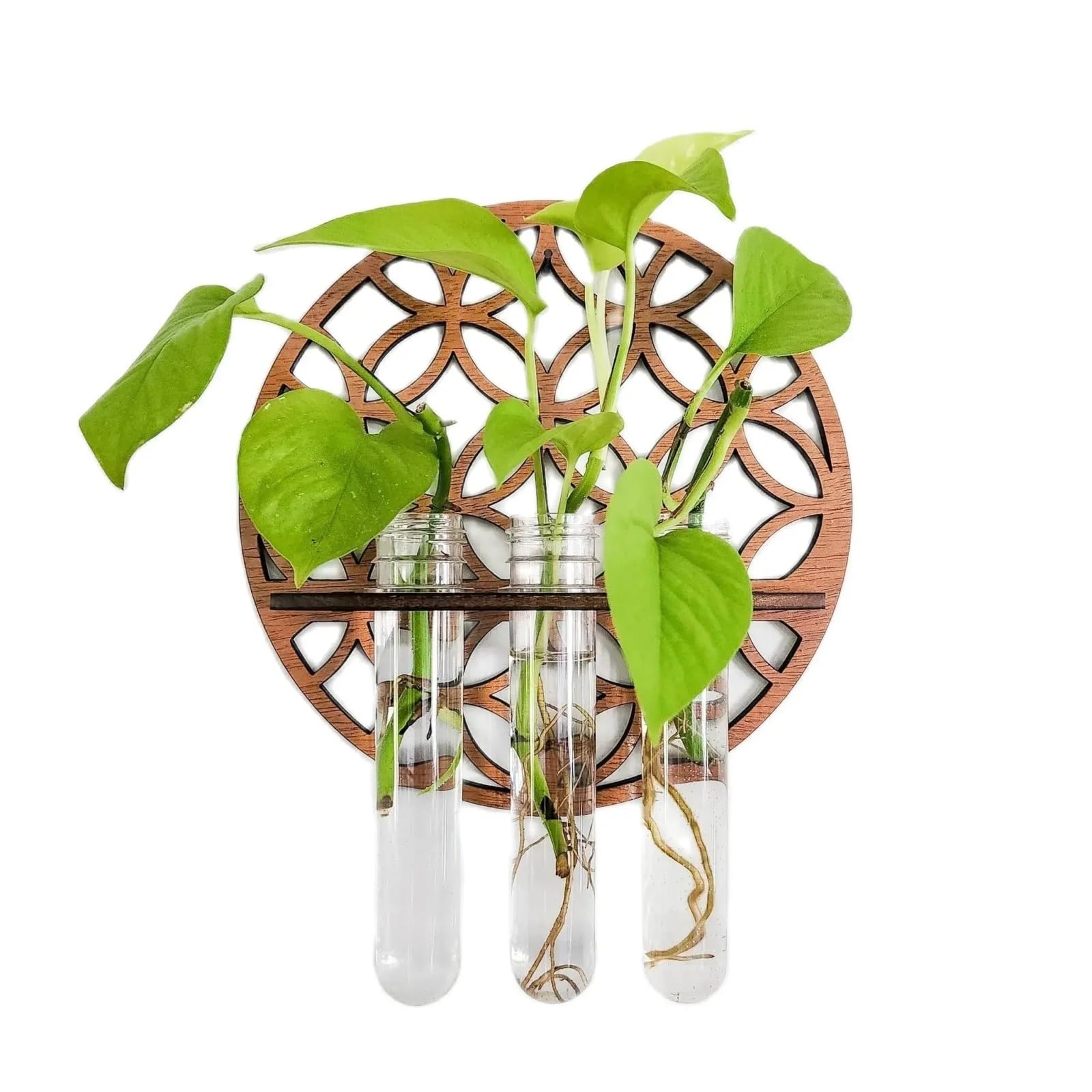 Wandvase Wandpflanzgefäße, 3 Reagenzgläser, Vermehrungsstation | Zimmerpflanzen Home Office Pflanzenaufhänger Blumenvasen