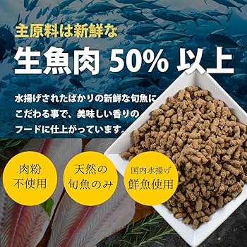 Amazon.co.jp: [帝塚山ハウンドカム]犬用 国産 無添加 ドッグフード