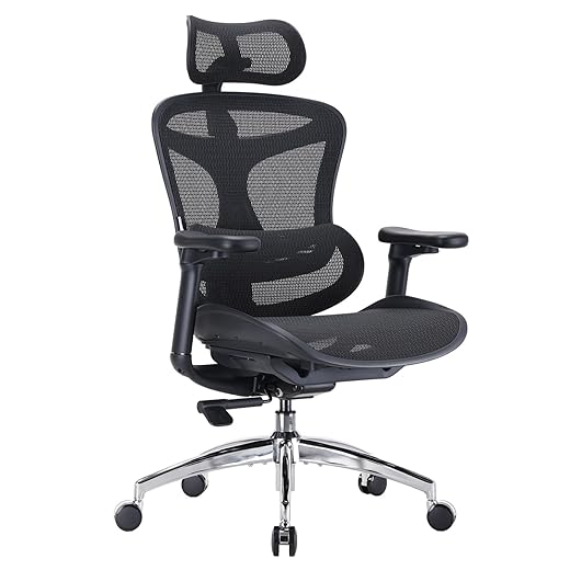 SIHOO Doro C300 Ergonomic Office Chair