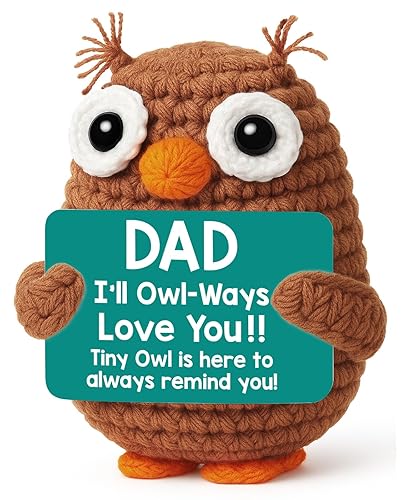 Handmade Crochet Christmas Owl Gift for dad, Birthday Christmas Stockings