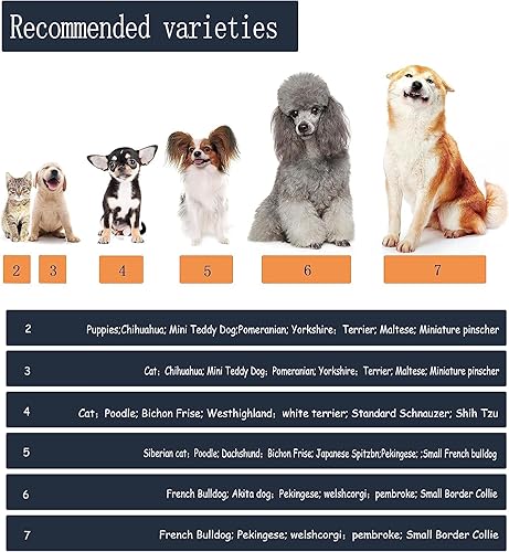 Miniatura 6 de YAODHAOD - Botas para perro con protector de patas, antideslizantes, con suela suave, correas reflectantes, para perros pequeños