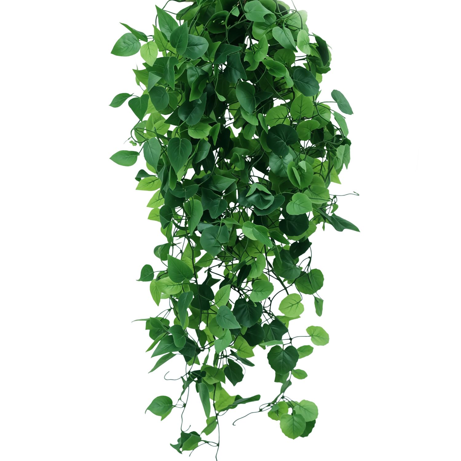 übertopf elefantenfuß Elefantenfuß - Beaucarnea recurvata main image 0
