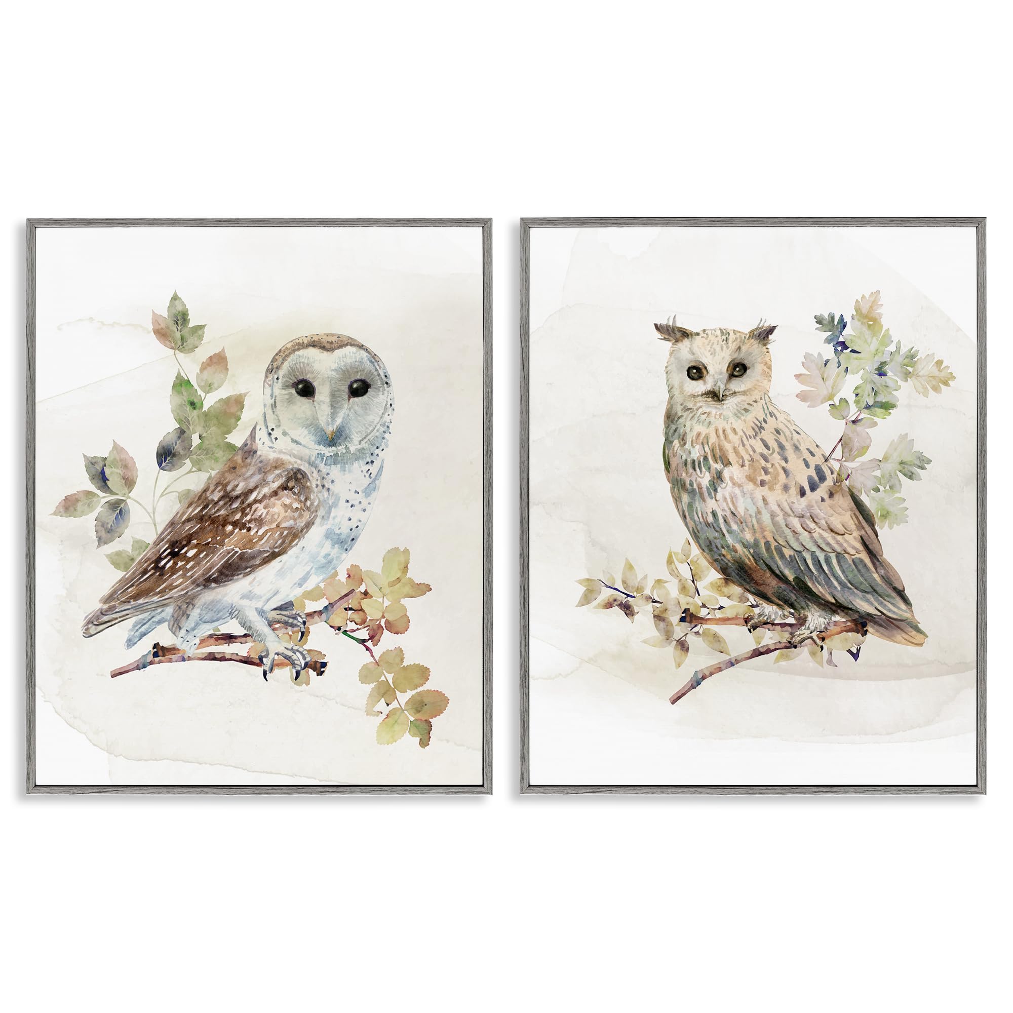 Stupell Industries 'Owls Perched in Foliage', 2pc Framed Giclee Art Set 2, Gray, 11 x 14 Inches, Easy to Hang and Sturdy, Made in USA, by CAD Designs