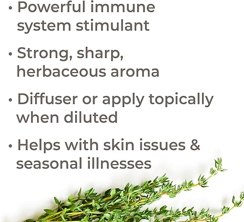Miniatura 2 de Plant Therapy Tomillo Timol Aceite Esencial Orgánico 10 mL (13 oz) 100% puro, sin diluir, grado terapéutico