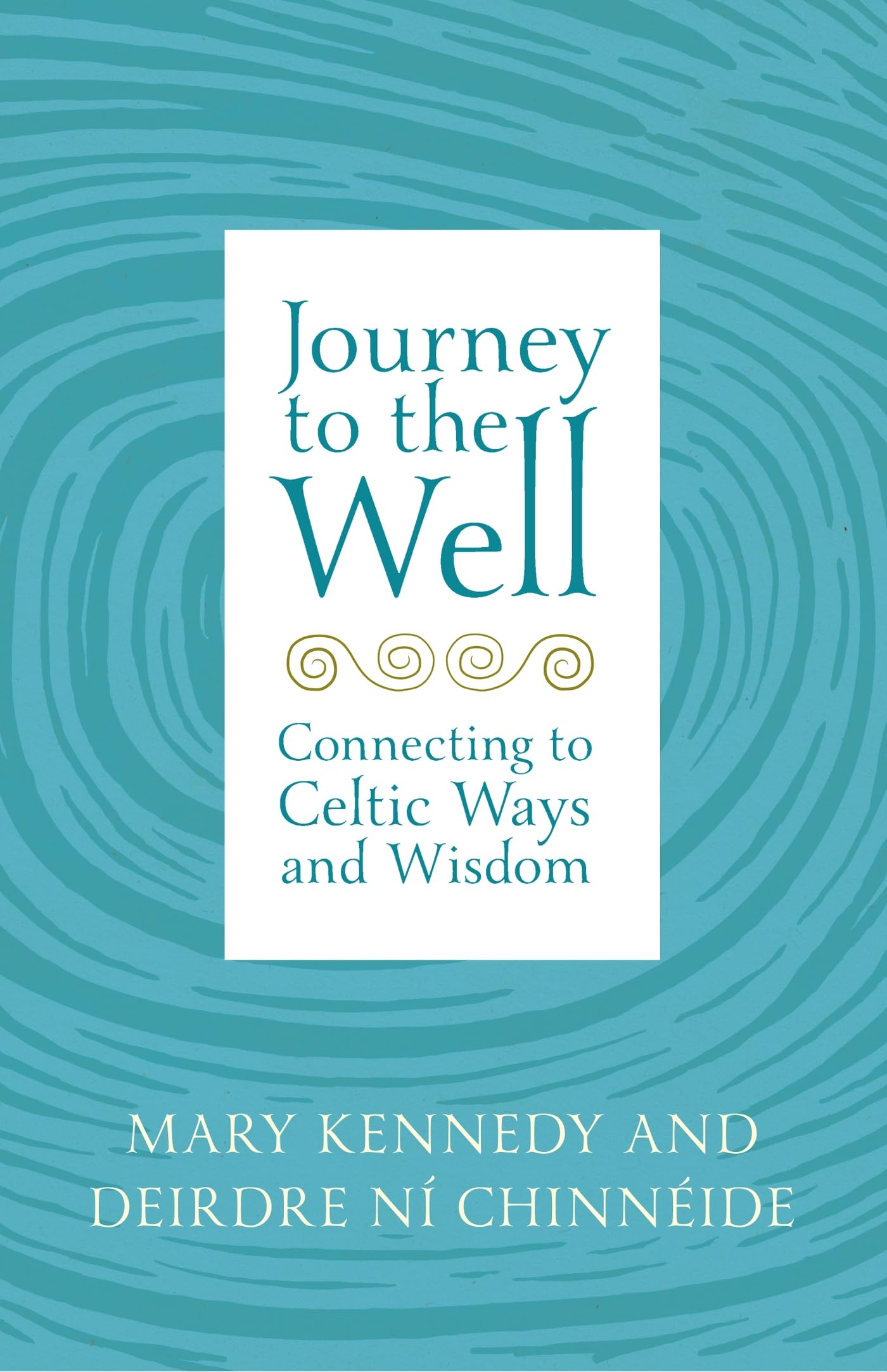 Journey to the Well by Deirdre Ní Chinnéide (Paperback Book)