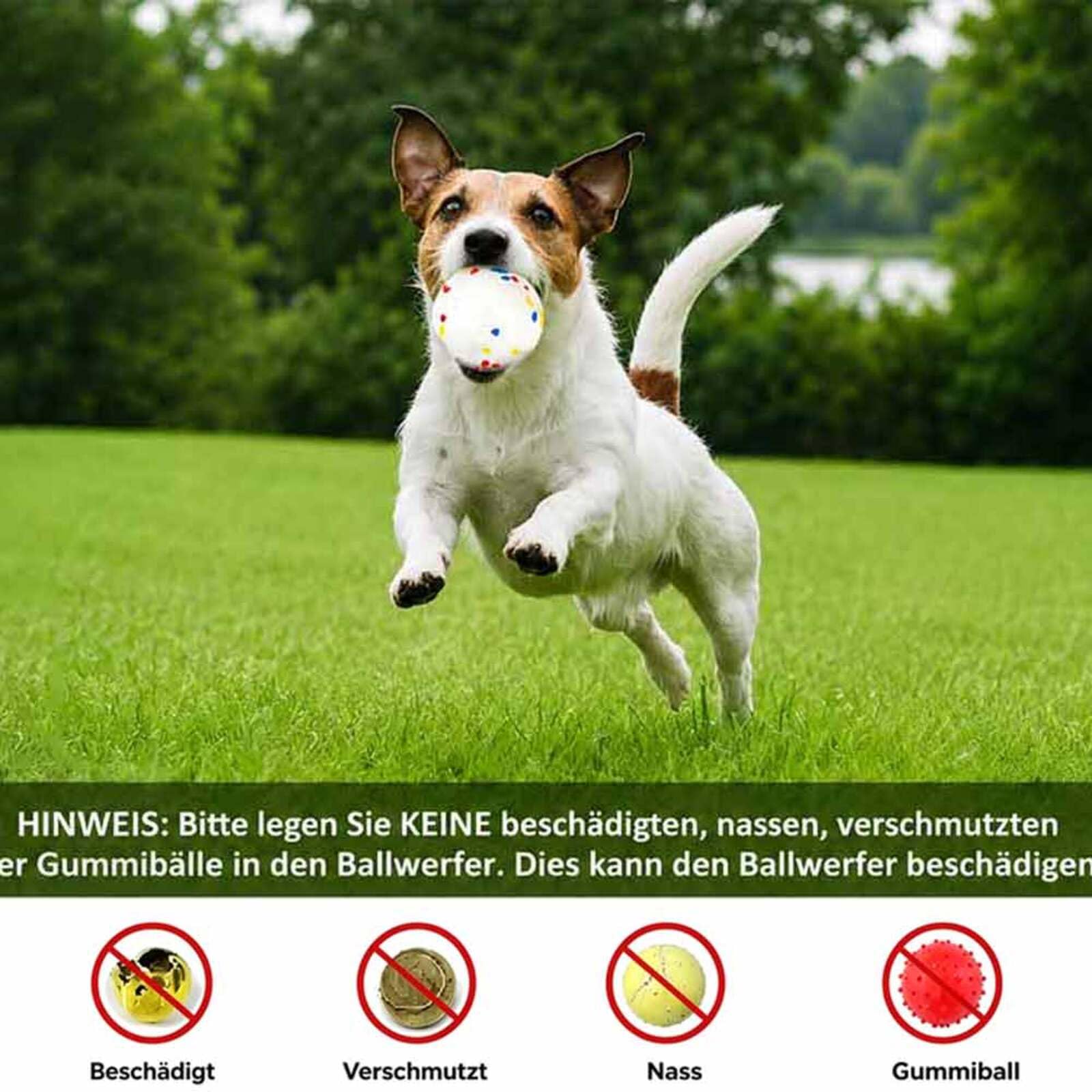 Ballwurfmaschine Hunde, Automatischer Hundeballwerfer mit Tennisball, Interaktives Hundespielzeug für Indoor und Outdoor
