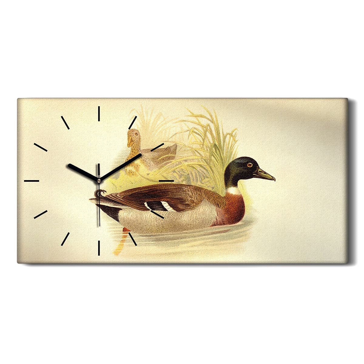 Horloge sur toile 60x30cm art mural abstrait nature de canard salon