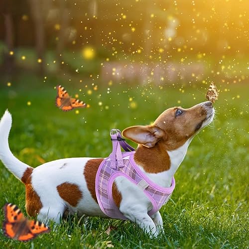 Miniatura 140 de KOOLTAIL Juego de arnés y correa para perros pequeños y medianos, arnés de malla suave sin tirones para perro, cómodo chaleco acolchado