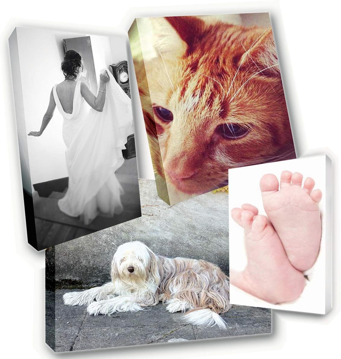 Your Canvas Printing Personalised Photo Canvas Print A4 A3 A2 A1 (A1)