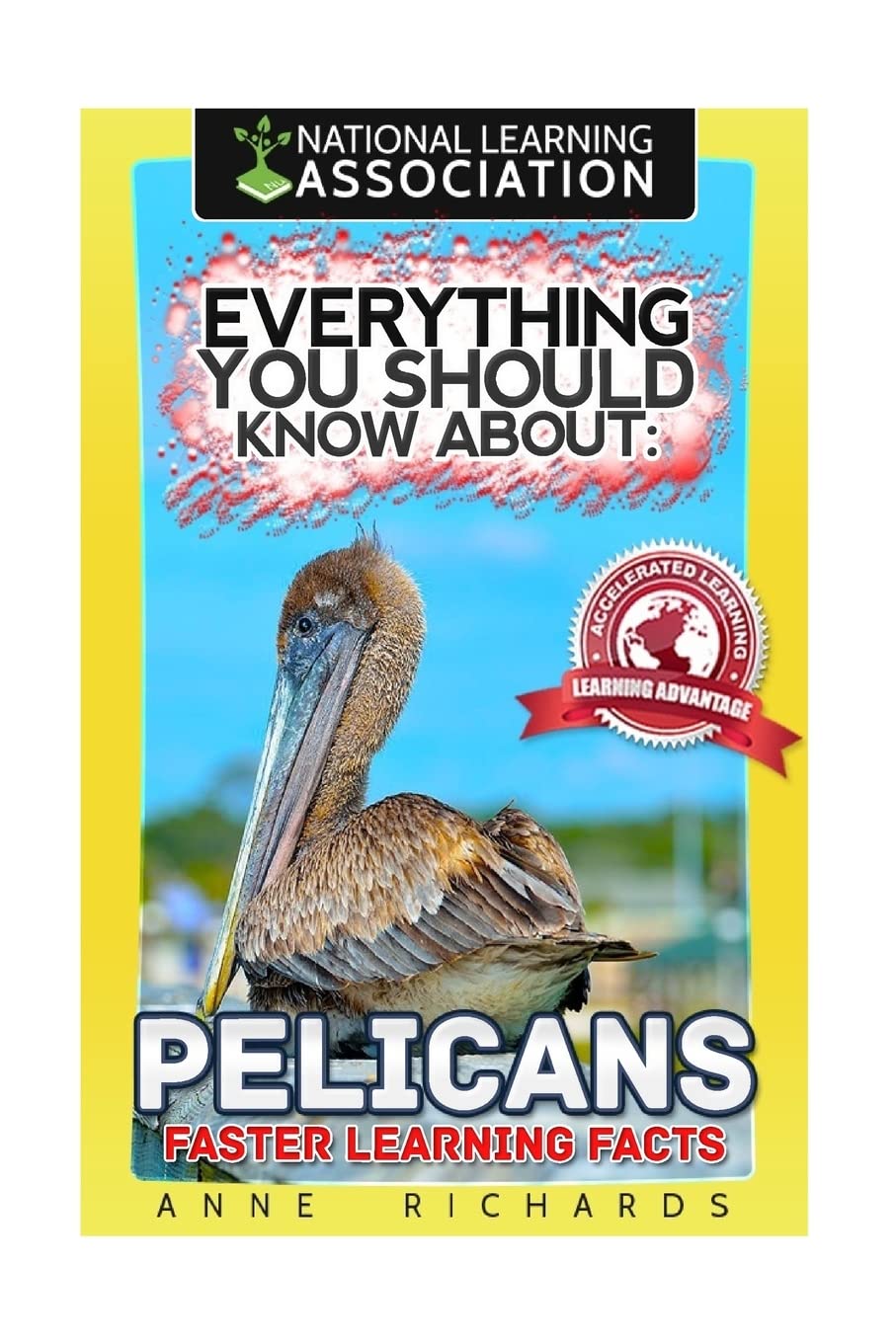 Everything You Should Know About: Pelicans Faster Learning Facts