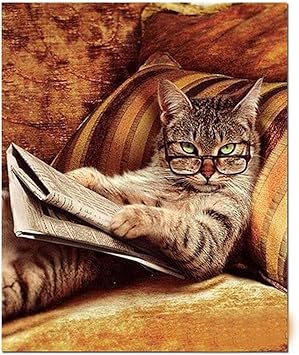 Amazon Co Jp ダイヤモンドソファに寝ている猫絵画 3d Diy 刺繍 ダイヤモンド猫絵画 クロスステッチ 初心者 ホビー Amazon Co Jp ダイヤモンドソファに寝ている猫絵画 3d Diy 刺繍 ダイヤモンド猫絵画 クロスステッチ 初心者 ホビー