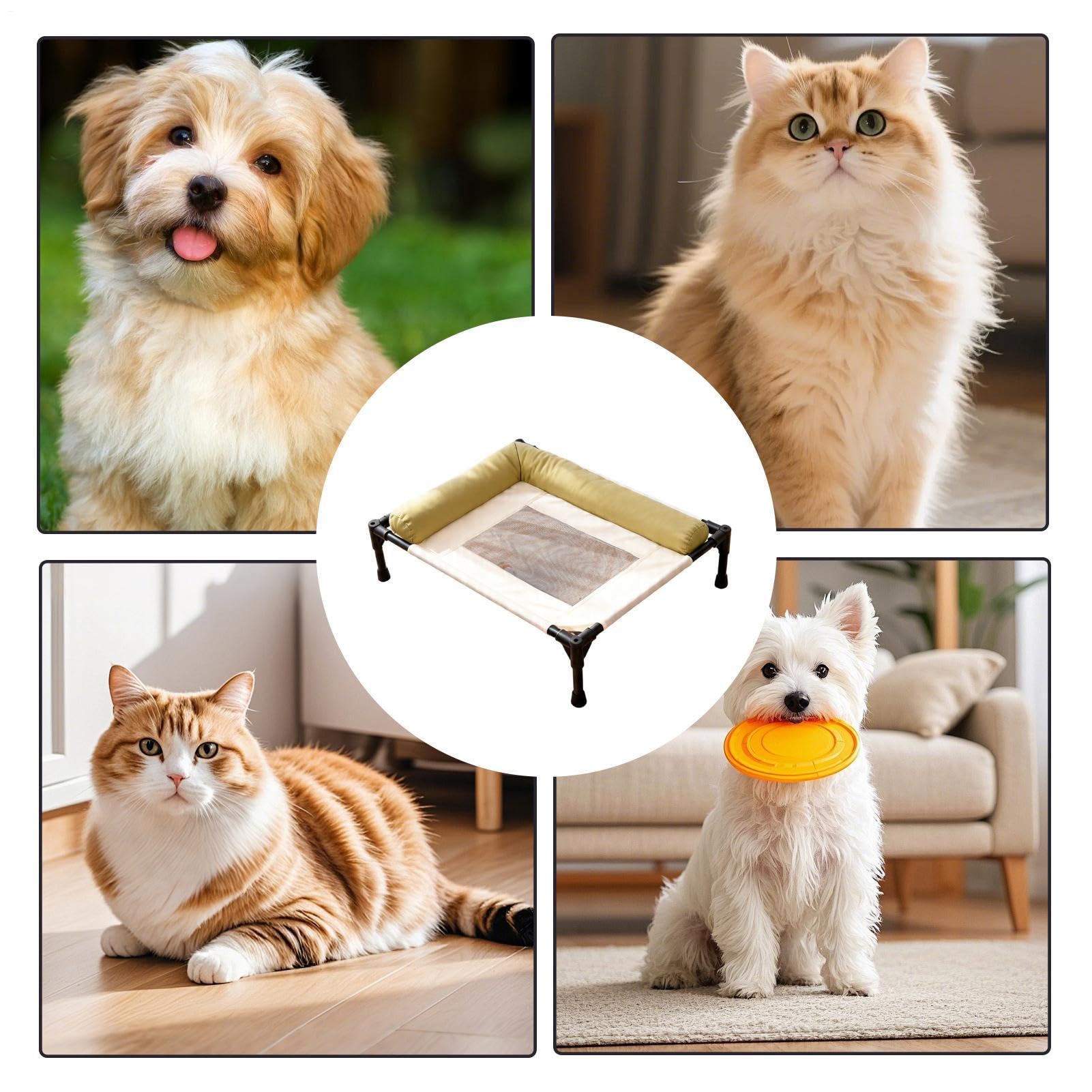 Erhöhtes Hundebett Waschbar, Kühlend, Atmungsaktiv | Outdoor Kühlende Hundeliege Bett Für Katzen Welpen, Auf Terrasse, Rasen, , Camping, Boden, Zu Hause, Am Bett, Auf Dem