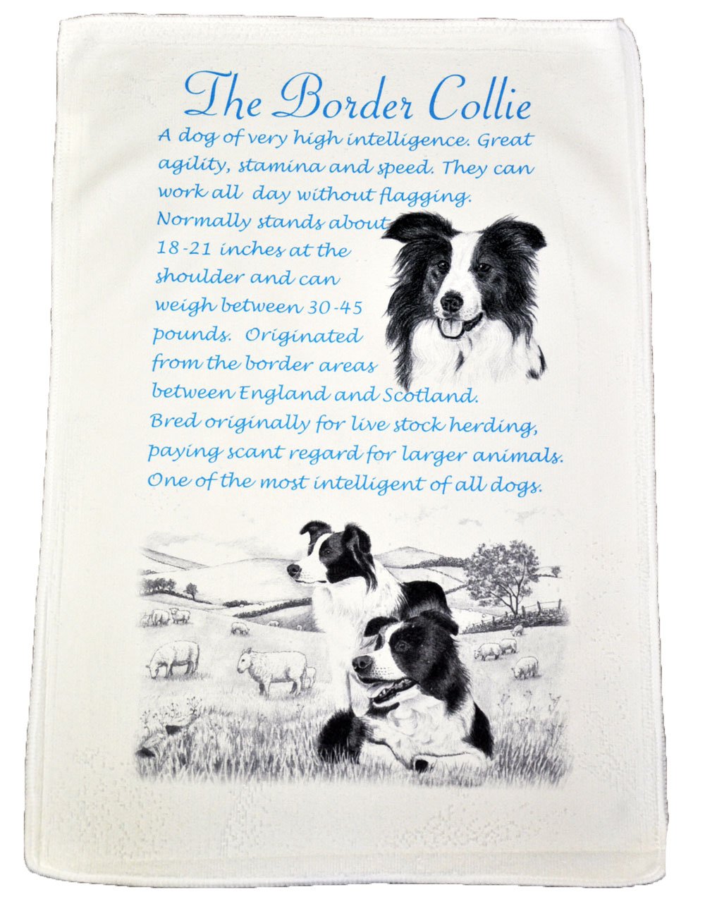 Personalised4u Best Friends Border Collie Microfibre Tea Towel