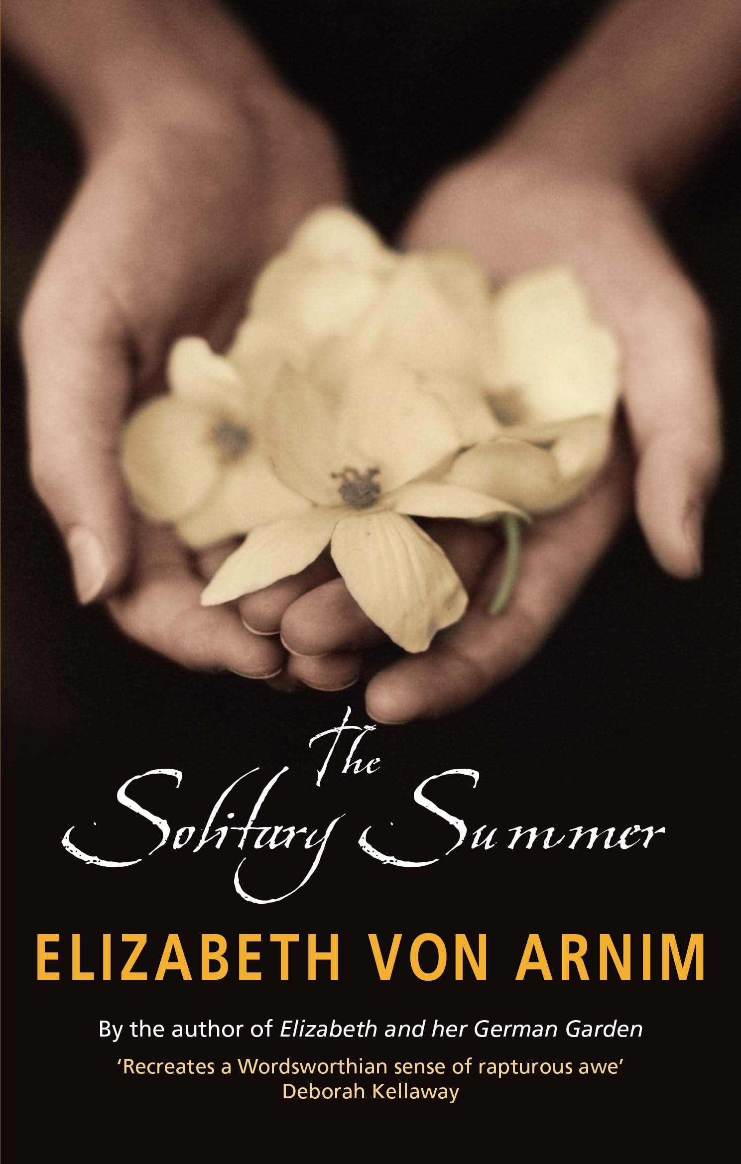 The Solitary Summer (Virago Modern Classics)