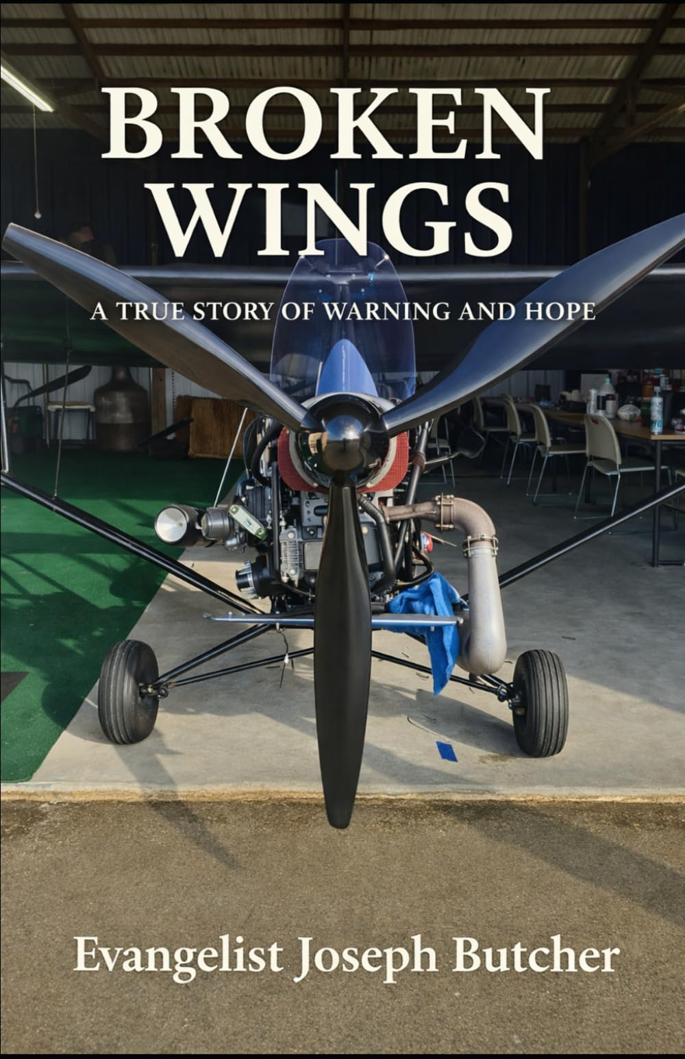 BROKEN WINGS: A TRUE STORY OF WARNING AND HOPE