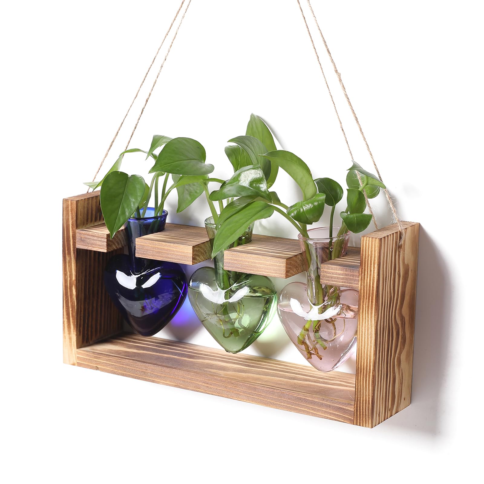 RCXsigns Plant Terrarium Unique Birthday Gift for Women Wall Planters for Indoor Hydroponic Plant Propagation Stations Heart Shaped Glass Vase with Wooden Stand