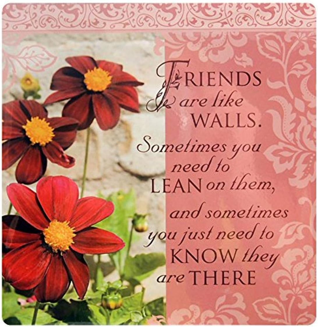 Kitchen Towels Friends are Like Walls, Pink