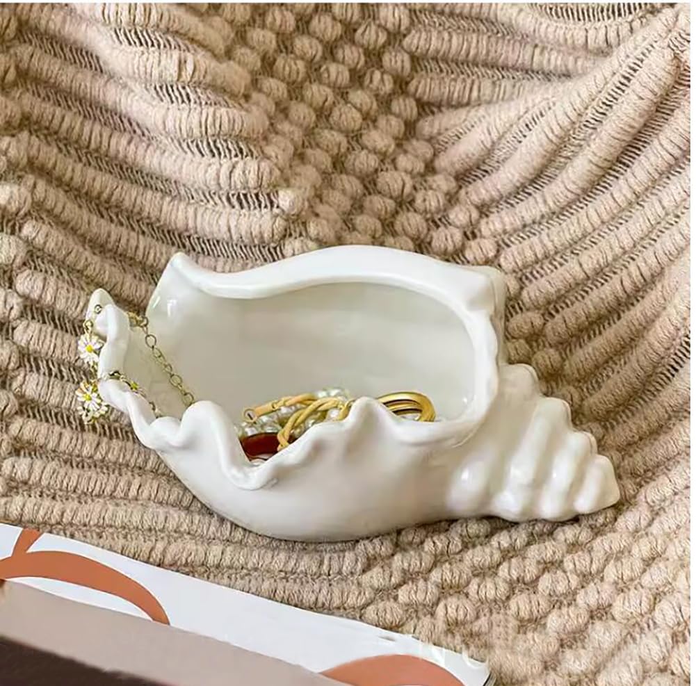 Amazon｜QIAOIDEA 巻き貝殻ティーライトキャンドルホルダー、シェル