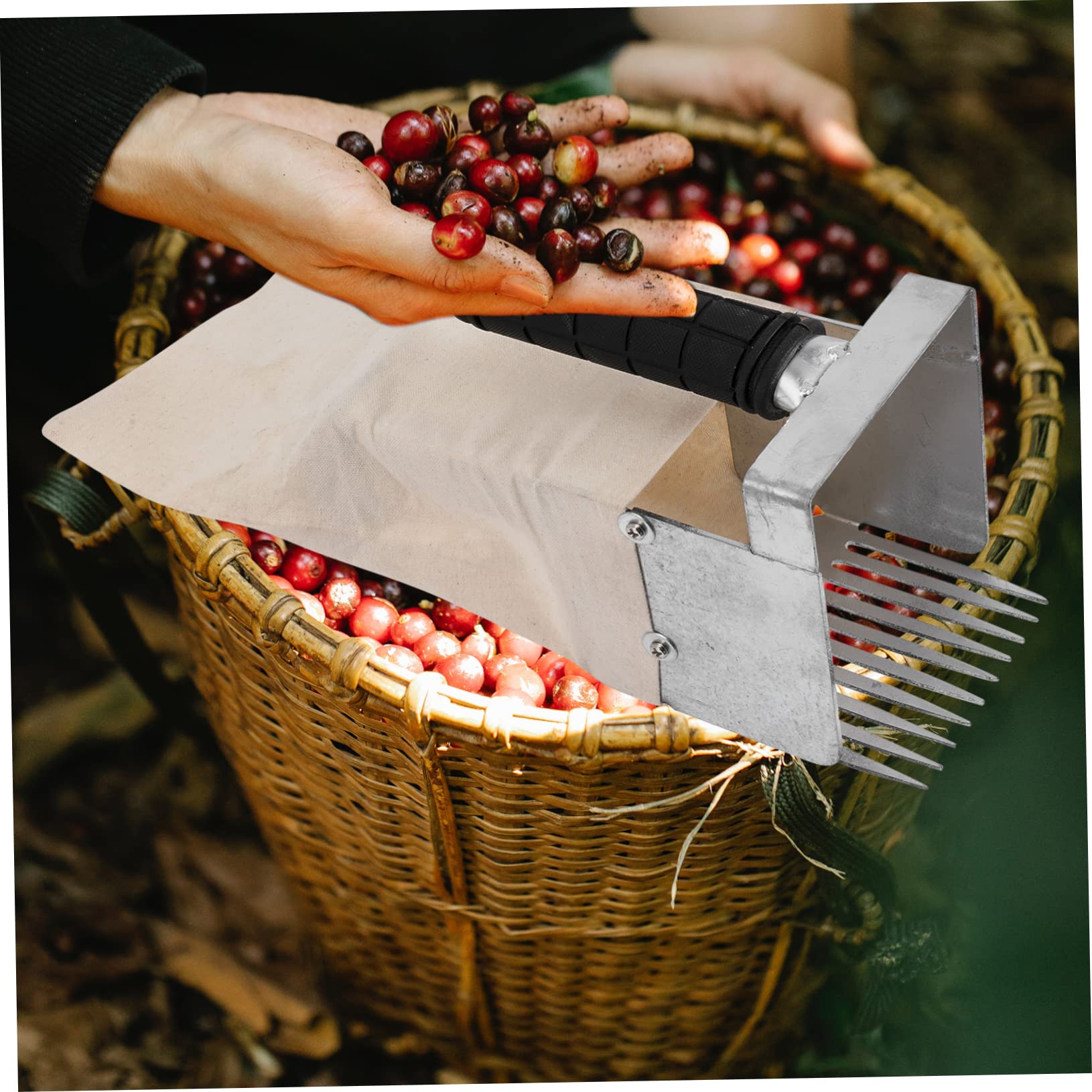 Recolector De Arándanos con Mango Pala para Recoger Arándanos Herramienta De Jardinería para Manos Libres El Huerto