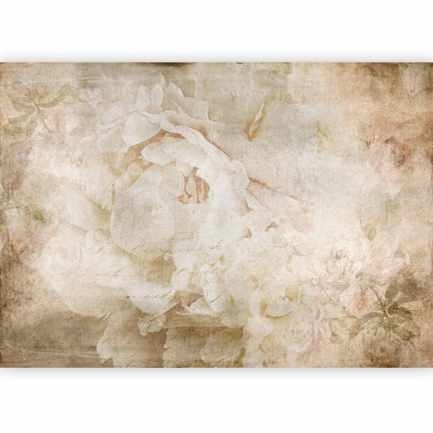 murando - Photo Wallpaper Flower 350x256 cm / 137.8" x 96.5" - Non-Woven Premium Art Print Fleece Wall Mural Decoration Poster Picture Design Modern - Nature Botany Plants Roses Beige b-C-0946-a-a โ image 1