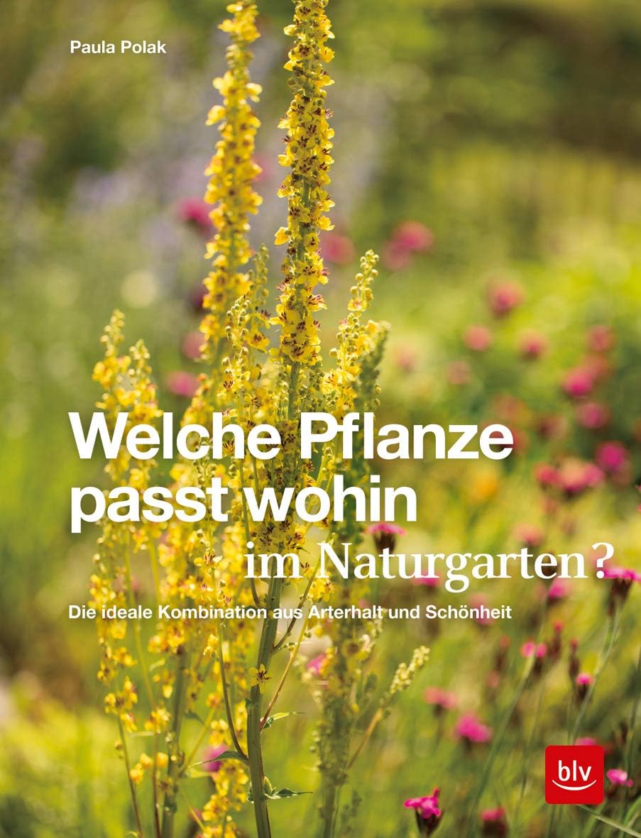 Welche Pflanze passt wohin im Naturgarten?: Die ideale Kombination aus Arterhalt und Schönheit